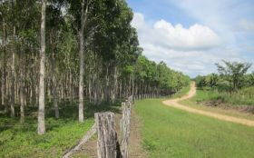 Country road in Belize – Best Places In The World To Retire – International Living